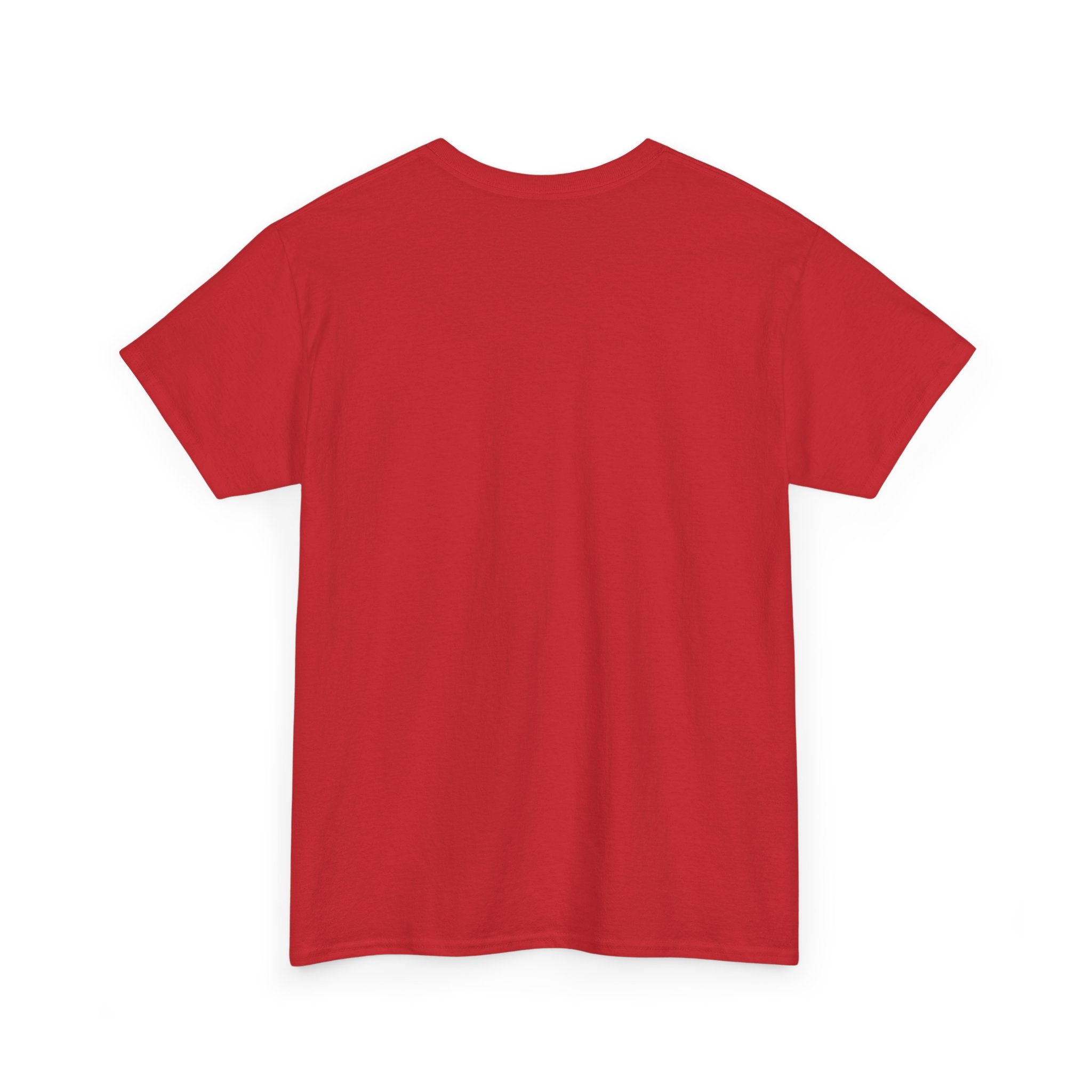 Eagle of Freedom 250 Years T-Shirt — Patriotic Bald Eagle Anniversary Tee