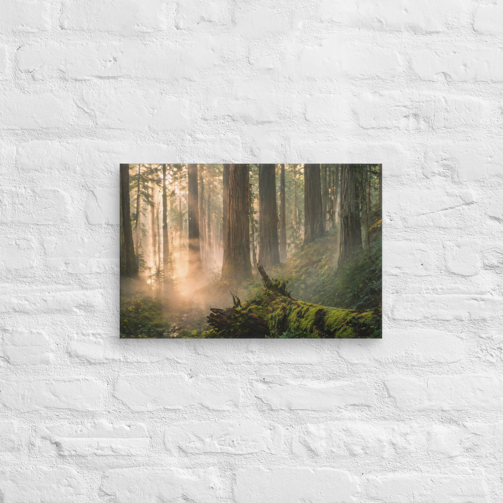 Canvas | Va's Creative Haven