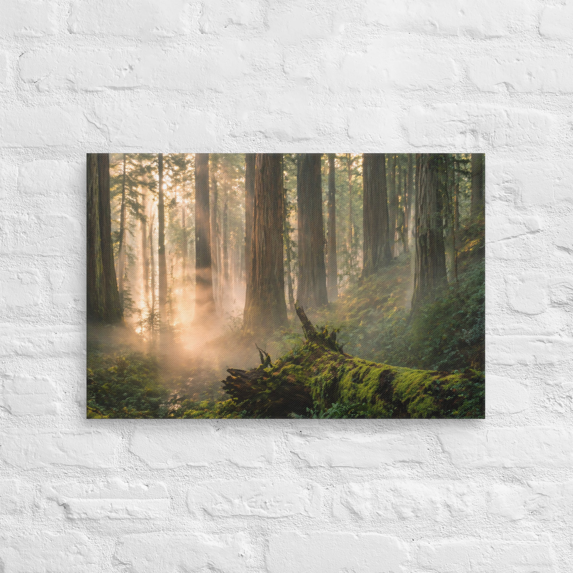 Canvas | Va's Creative Haven
