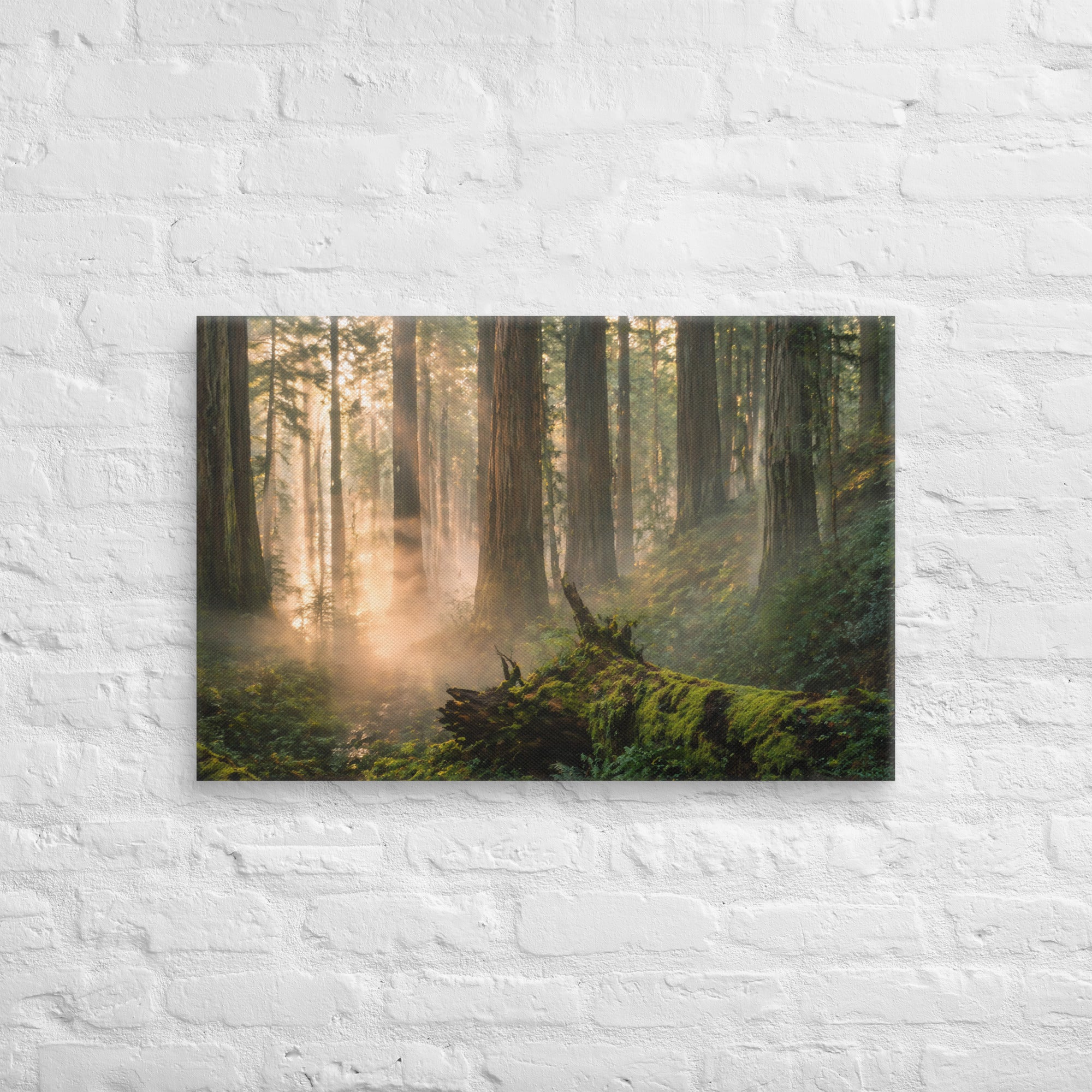 Canvas | Va's Creative Haven