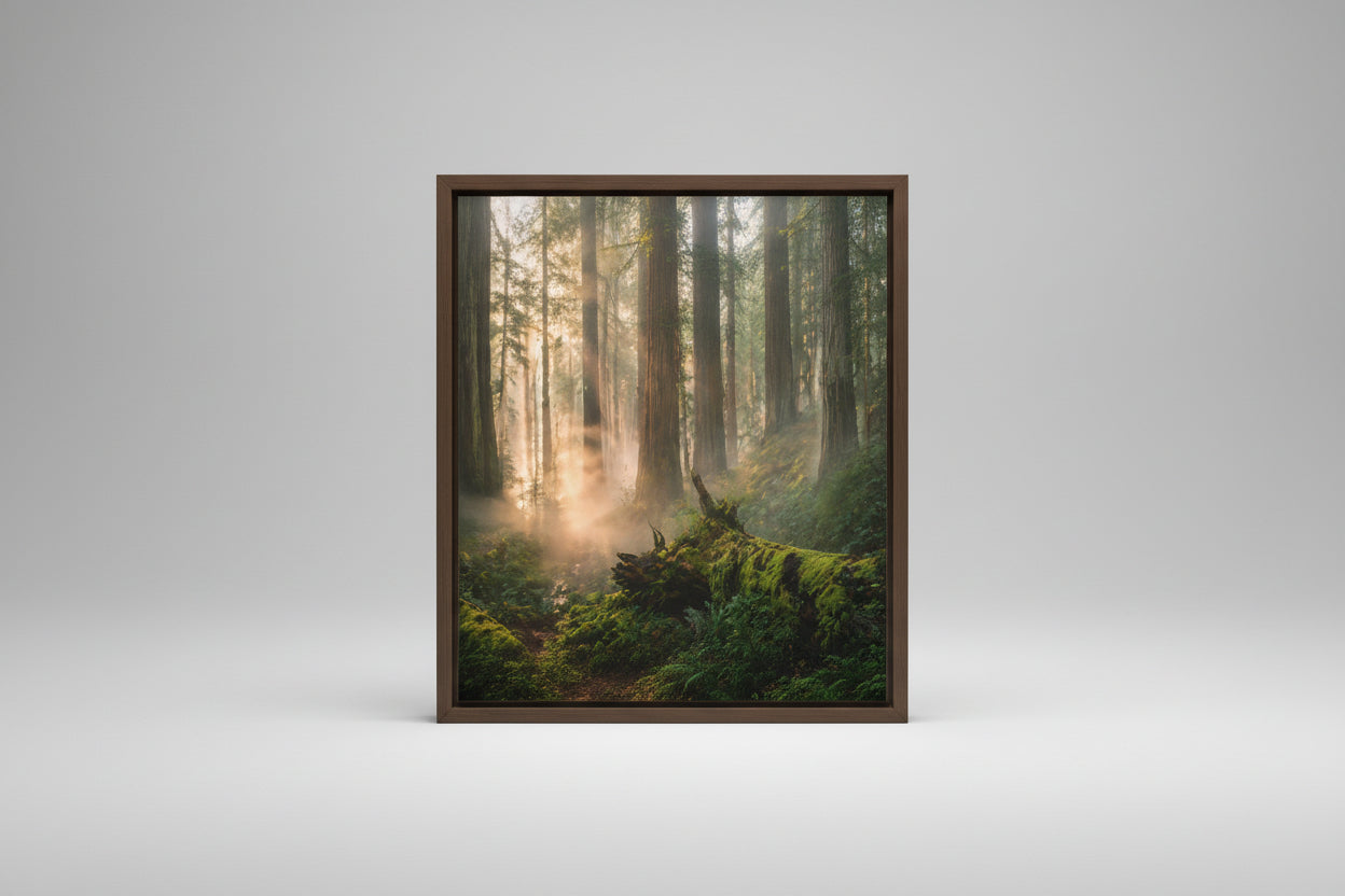 Canvas | Va's Creative Haven