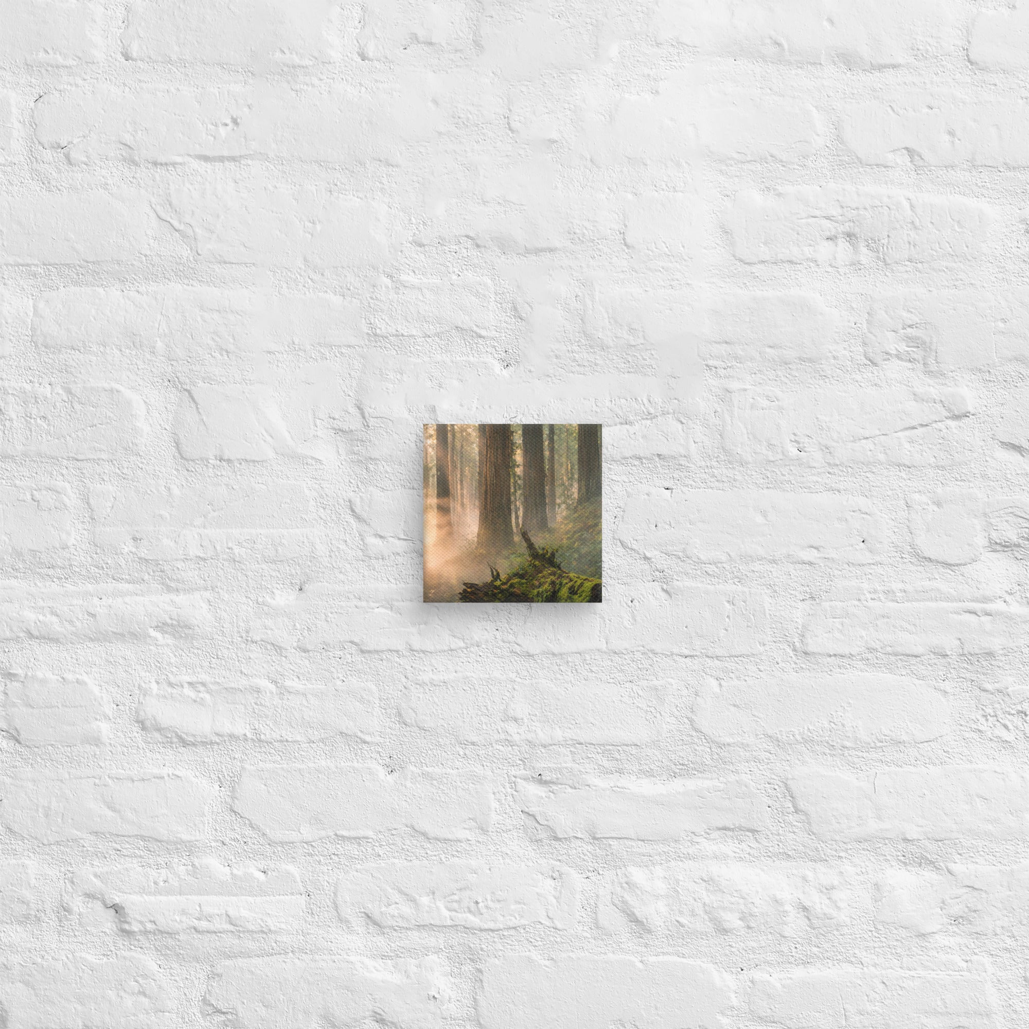 Canvas | Va's Creative Haven